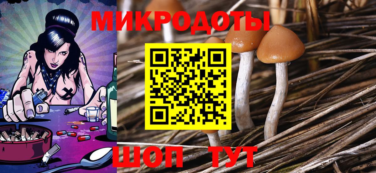 Галлюциногенные грибы мухоморы  Галлюциногенные грибы Psilocybine cubensis  Россия  Вход с VPN 