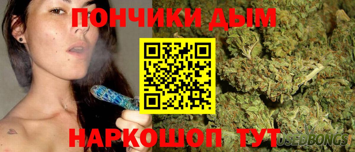 Бошки Шишки план Россия